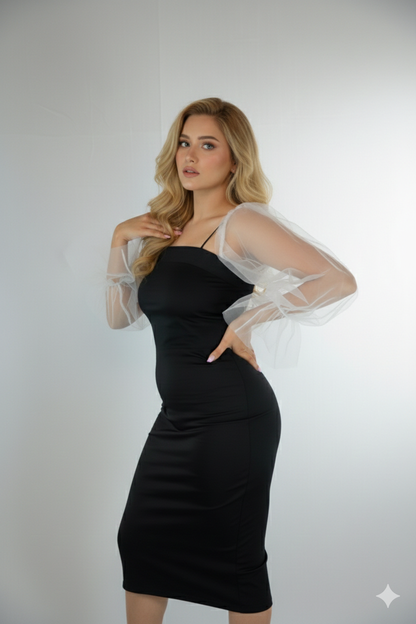 Mesh full puff sleeves