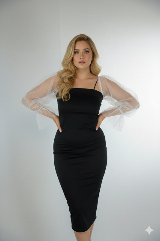 Mesh full puff sleeves